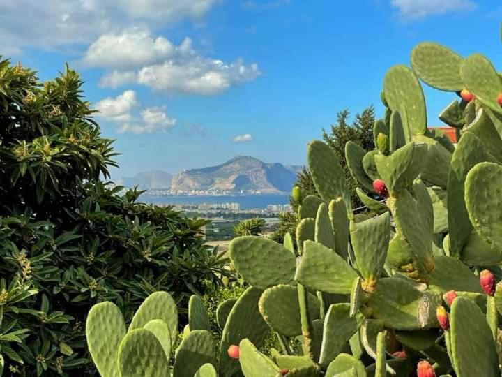 Il Siciliano Home Палермо Экстерьер фото